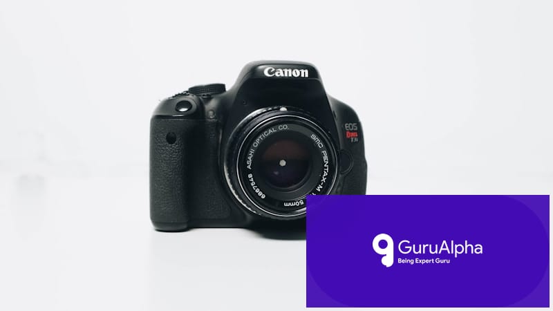 Best Cameras for Beginners in 2026